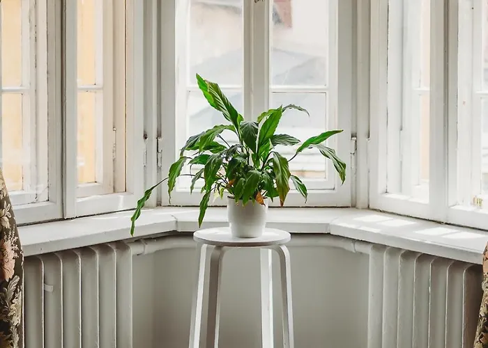 4 Bedroom Old Town - 3 Bathrooms Apartment Tallinn