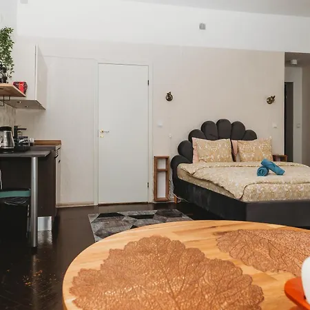 דירה 4 Bedroom Old Town - 3 Bathrooms טאלין